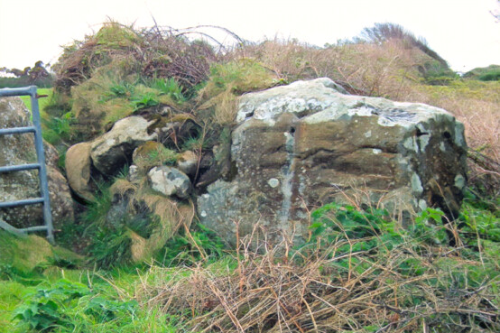 The Bosistow Stone
