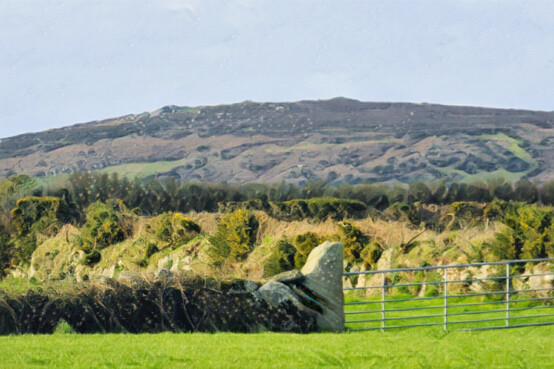 A Cornish gatepost