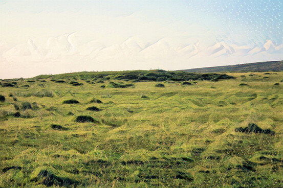 Botrea Barrows