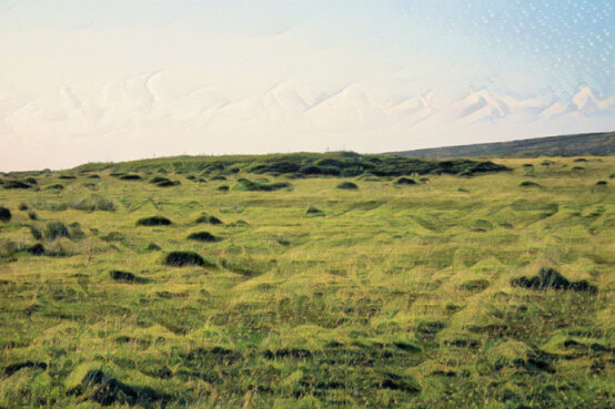 Botrea Barrows