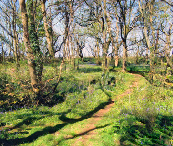 Lesingey Round