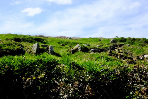 Goldherring iron age settlement