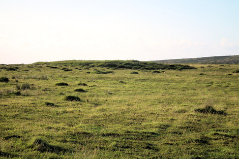 One of the platform cairns at Botrea Barrows