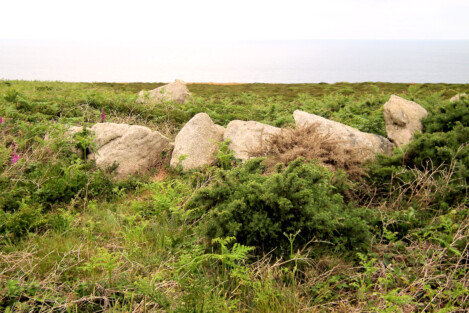 Leftovers of a kerbed cist cairn at Chy Praze, on the cliffs above Portheras Cove