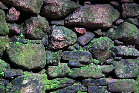 The stonework inside the fogou. Phosphorescent plants grow  on the stones - they like damp, dim, energy-charged places. Apparently the natural radioactivity inside fogous is quite high.