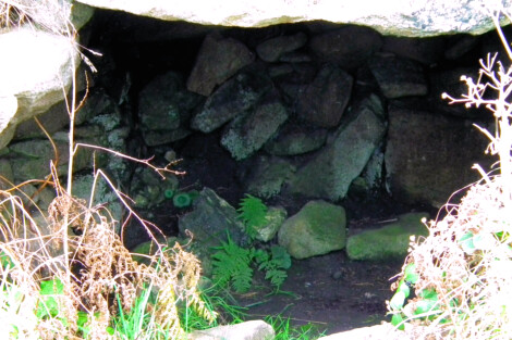 Lower Boscaswell Fogou, looking in.