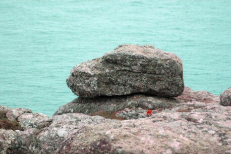 Sitting in wait - near Carn Boel, Land's End, Cornwall