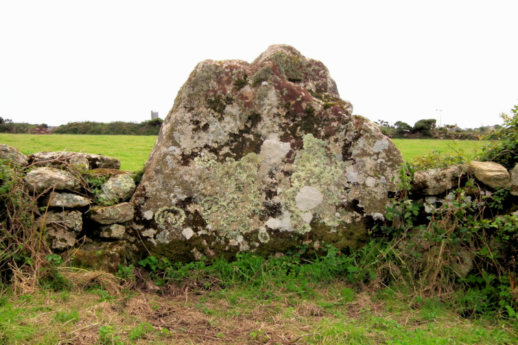 Banns Farm menhir, with a later hedge built into it.