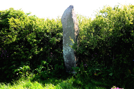Gun Rith, a menhir close to the Merry Maidens. An internal  alignment within the complex goes from this menhir through the Merry Maidens to the now-disappeared Tregurnow stone circle