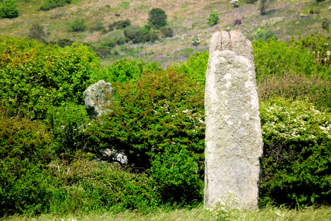 The Pipers menhirs - the largest surviving menhirs in Cornwall. Part of the Merry Maidens complex. The further, NE Piper, seems to take alignments from further afield while the nearer, SW menhir, seems mostly to take internal alignments within the Merry Maidens complex