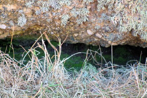 This is the gap under the propped menhir at Trevean 1, Roskestal. It is propped up on four stones. The reason why is difficult to tell. There's a similar propped menhir not far away at the gateway to Carn Les Boel