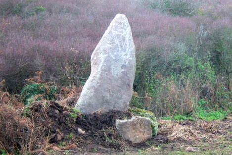 The Treryn Dinas menhir shortly after being unearthed and re-erected