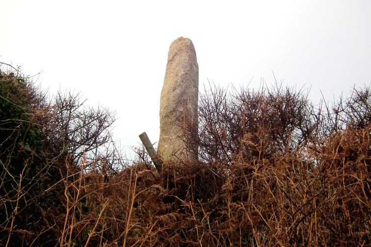 The newly re-erected menhir close to Treryn Dinas. It sits on two major alignments, pre-existing the rediscovery and re-erection of this menhir - these verified that it was genuine and placed correctly