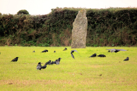 Trevorgans menhir near St Buryan