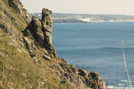 Guardian Meerkat, Rinsey, near Porthleven, Cornwall