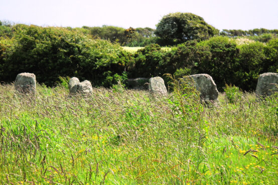 The Merry Maidens