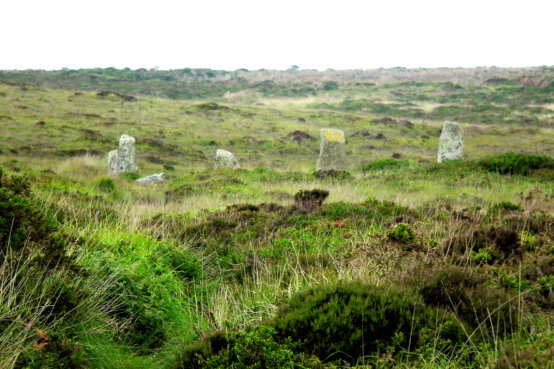 The Nine Maidens