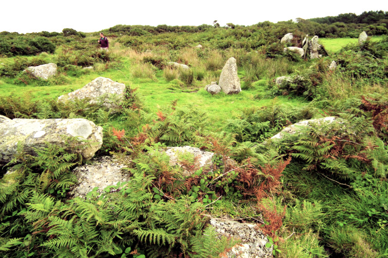 Bodrifty iron age village
