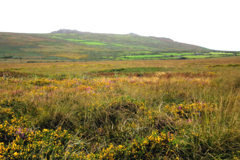Carn Galva as seen from Bodfrifty