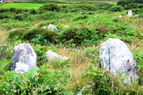 Bodrifty iron age village