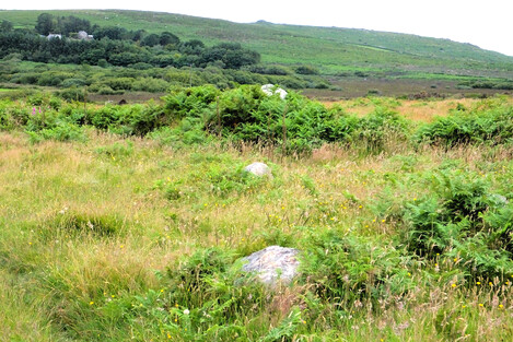 An interesting alignment of stones at Bodrifty, pointing at Little Galva, a carn just below Carn Galva. Click to enlarge