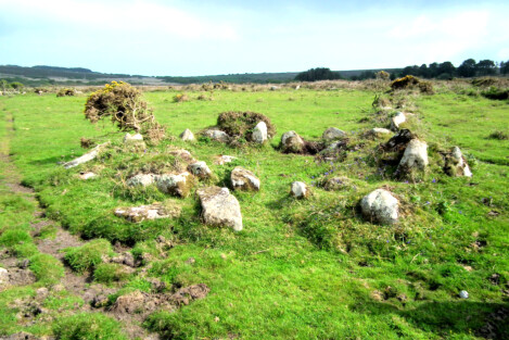 Bosporthennis