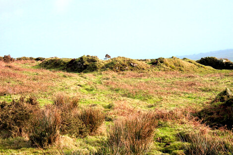 Botrea Settlement - the remains of a courtyard house