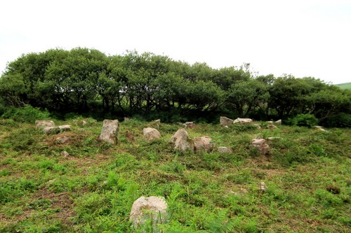 Iron age roundhut near Sancreed