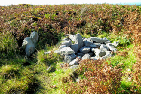 The well on the summit of Bartinney Castle. It still occasionally has water today, but deforestation downslope affects the water table and temperatures in the earth, affecting these springs.