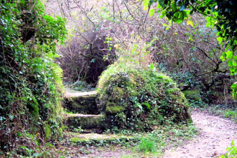 Carn Euny holy well