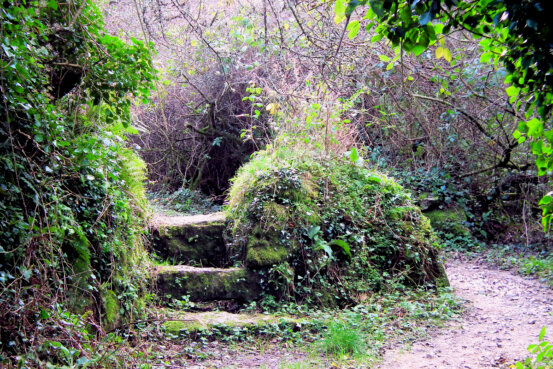 Near the Chapel at Madron Well