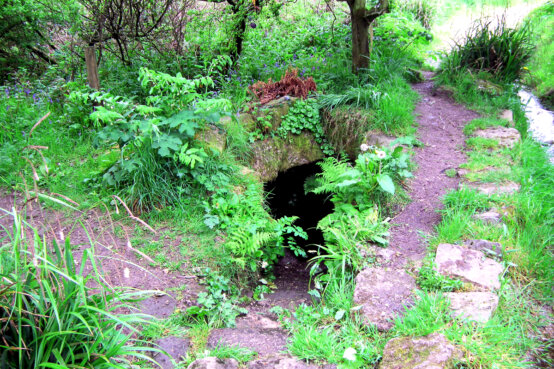 St Euny's Well