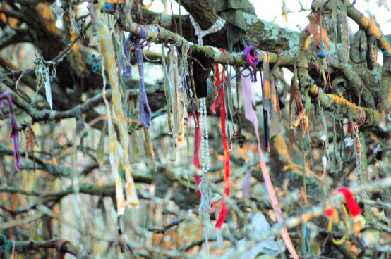 Clouties at St Euny's Well